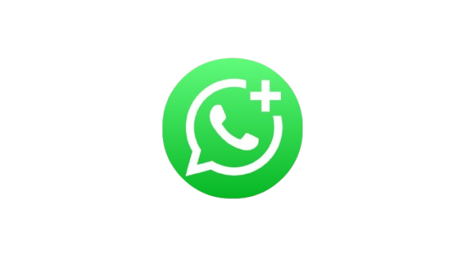 WhatsApp Icon